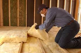 Best Insulation for Existing Homes  in , MN